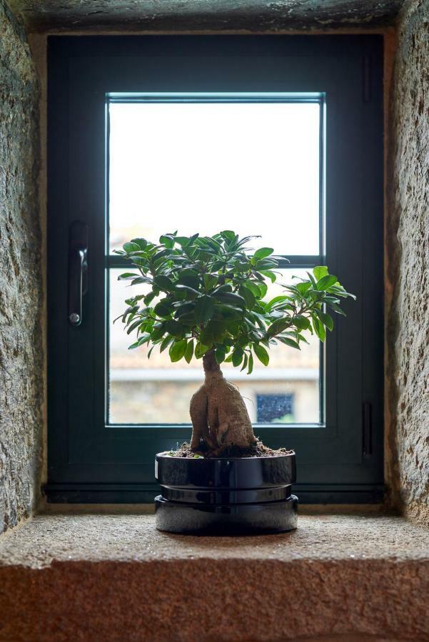 メリーデ Casa Entera A Ferraduraヴィラ エクステリア 写真